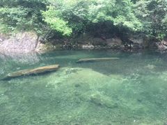 -白云源风景区