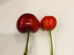 -菜园坝水果市场