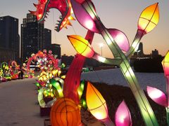 -沈阳奥体冰雪嘉年华