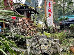 -青城甲(青城山店)