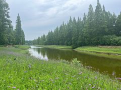 -黄海国家森林公园