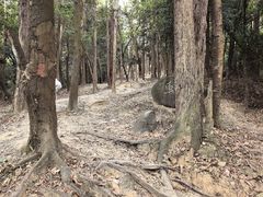 -火炉山森林公园
