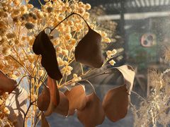 -CHURCH  BISTRO 教堂·餐吧