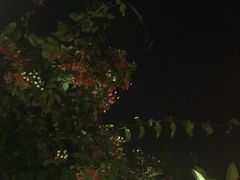 -喜洲吧·江畔老船厂·庭院餐厅(喜临院店)
