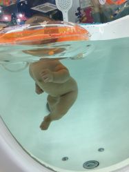 -蓓朵母婴生活馆(万科金域华庭店)