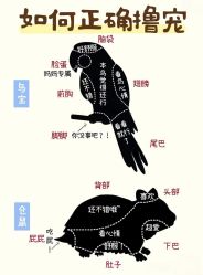 -神奇动物撸宠馆·羊驼·小浣熊·异宠(豫园店)