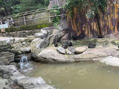 -燕塞湖鸟语林景区