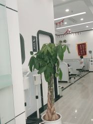 -蕾特恩专业祛痘·皮肤管理