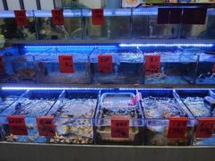 -金海湾海鲜排档(朱家尖店)