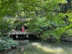 -杭州植物园
