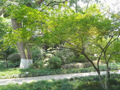 -浙江西子宾馆·瑶园咖啡厅