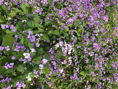 -白塘生态植物园