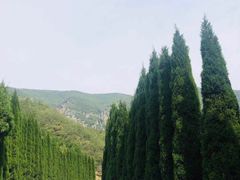 -青龙山生态文化旅游区(慈云寺)