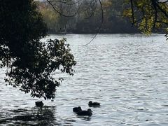 -浙江西子宾馆·瑶园咖啡厅