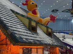 -广州热雪奇迹