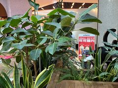 -Seesaw Coffee(上海太阳宫K46店)