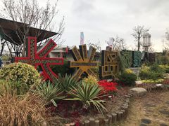 -上海长兴岛郊野公园