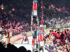-广州长隆国际大马戏