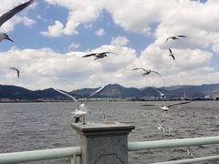 -海埂大坝