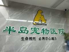 -半岛宠物医院24小时(白果林店)