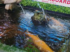 -無招牌海鮮(芽笼店)