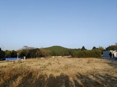 -秦始皇帝陵博物院-丽山园