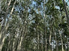 -仁和公园(顺义区)
