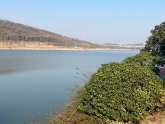 -羊山湖公园