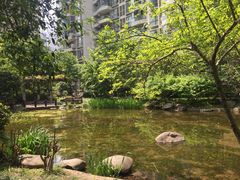 -新湖明珠城