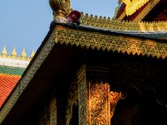 -西双版纳勐泐文化旅游区