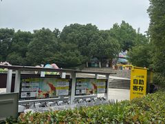 -合肥野生动物园
