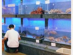 水产区-名苑皇宫酒家(来魅力壁画村店)