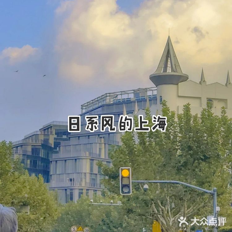 你为什么喜欢上海