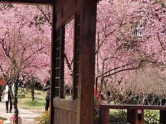 -无锡梅园公园