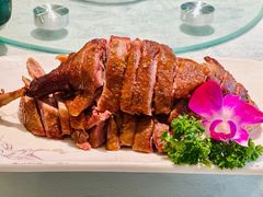 -陈麻婆豆腐(旗舰店)