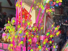 -大湾区中央湿地公园-十九涌