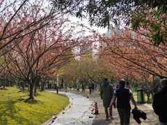 -苏州河梦清园环保主题公园