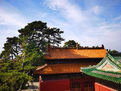 -普乐寺