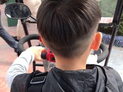 -美的鹭湖探索王国