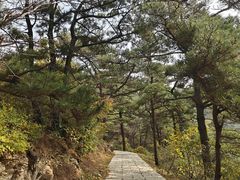 -金龙寺国家森林公园