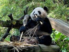 -广州长隆野生动物世界