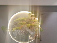 -金狮麟·新豫菜(杏石口路店)