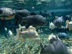 -成都浩海立方海洋公园