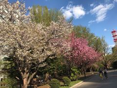 -北海道厅旧本厅舍(旧本庁舎)