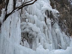 -青峰峡国家森林公园