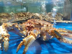 -盒马鲜生(顺义店)