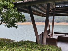 -逸廊大堂吧-下午茶·简餐-千岛湖自由洲际殿