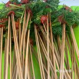 一家性价比超高的串串香宝藏店铺！