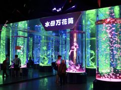 -海合安成都极地海洋公园