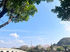 -顺峰山公园